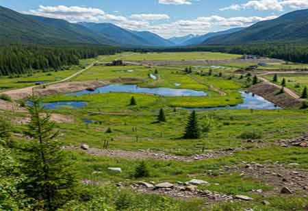 The Bioremediation Evolution: Strategies for Tackling Contamination in Canada